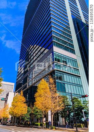 東京　千代田区　丸の内周辺の紅葉 116895870