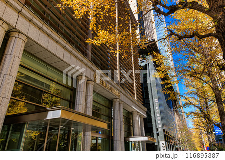 東京 千代田区 丸の内周辺の紅葉 東京 千代田区 丸の内周辺の紅葉 116895887