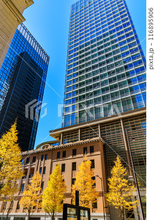 東京　千代田区　丸の内周辺の紅葉 116895906