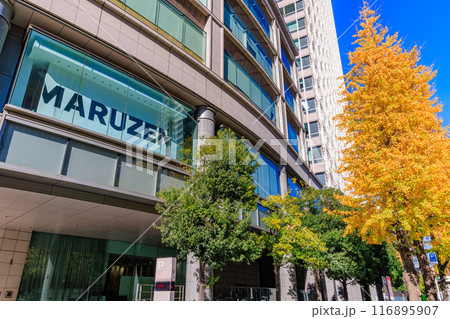 東京 千代田区 丸の内周辺の紅葉 東京 千代田区 丸の内周辺の紅葉 116895907