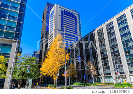 東京 千代田区 丸の内周辺の紅葉 東京 千代田区 丸の内周辺の紅葉 116895909