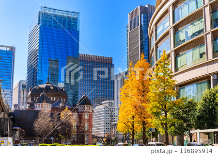 東京 千代田区 丸の内周辺の紅葉 東京 千代田区 丸の内周辺の紅葉 116895914