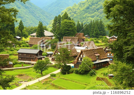 山から見下ろす白川郷・相倉集落の全容（ズーム） 116896252