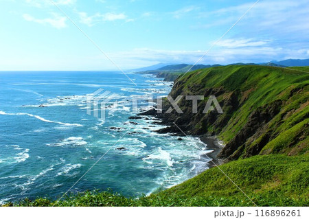襟裳岬からみた海岸線 襟裳岬からみた海岸線 116896261