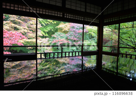 瑠璃光院の紅葉ライトアップ 瑠璃光院の紅葉ライトアップ 116896638