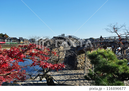 錦帯橋の紅葉 116896677