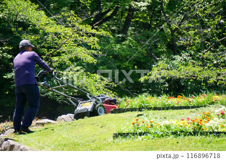 電動草刈機で芝刈りをする男性 116896718