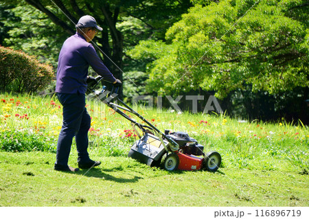 電動草刈機で芝刈りをする男性 電動草刈機で芝刈りをする男性 116896719
