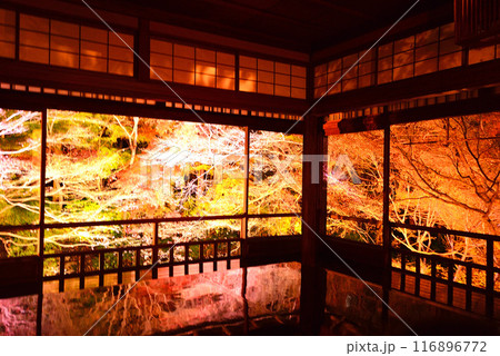 瑠璃光院の紅葉ライトアップ 瑠璃光院の紅葉ライトアップ 116896772