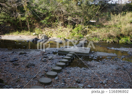 埼玉県飯能市の吾妻峡のドレミファ橋 埼玉県飯能市の吾妻峡のドレミファ橋 116896802