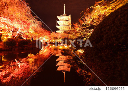 京都・東寺の紅葉ライトアップ 116896963