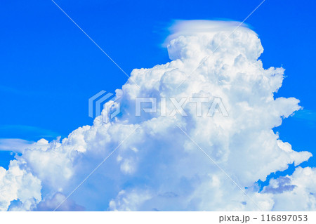 夏雲 イメージ 夏雲 イメージ 116897053