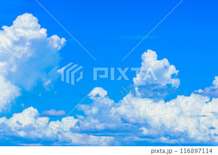 夏雲　イメージ　 116897114