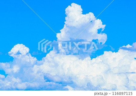 夏雲　イメージ　 116897115