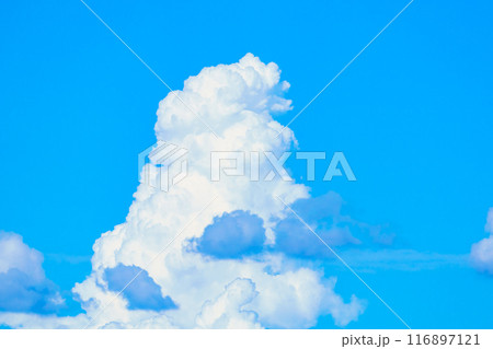 夏雲　イメージ　 116897121