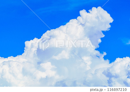 夏雲　イメージ　 116897210