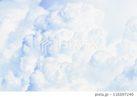 夏雲 イメージ 夏雲 イメージ 116897240