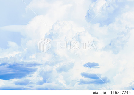 夏雲 イメージ 夏雲 イメージ 116897249