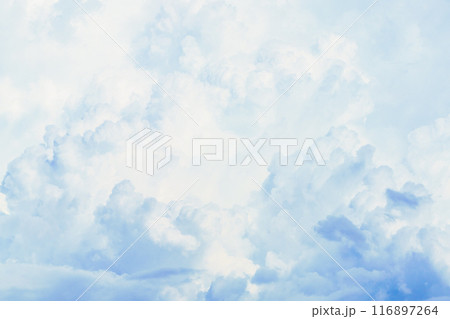 夏雲　イメージ　 116897264