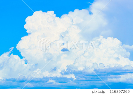 夏雲　イメージ　 116897269