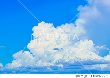 夏雲 イメージ 夏雲 イメージ 116897272