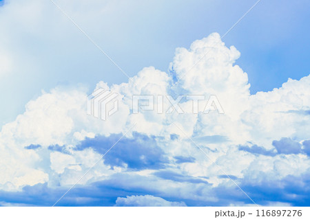 夏雲　イメージ　 116897276