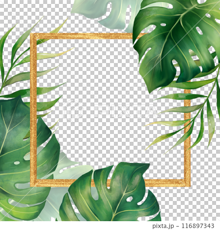 Golden square frame with green tropical palm and monstera leaves illustration. Elegant element for wedding design, greeting cards and crafting, place for text 116897343