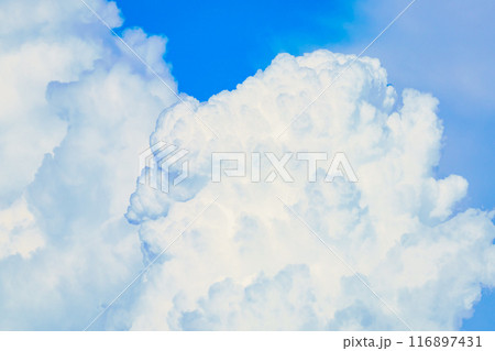 夏雲 イメージ  夏雲 イメージ  116897431