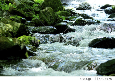 小川の水の流れ 小川の水の流れ 116897570