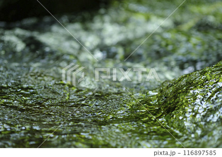 小川の水の流れ 小川の水の流れ 116897585