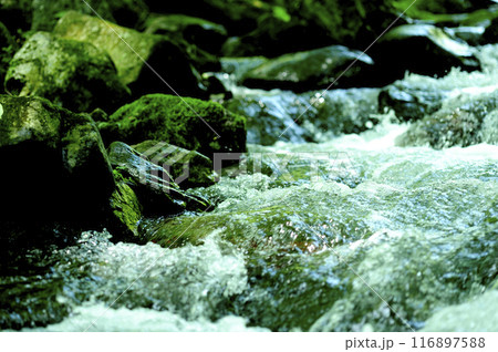 小川の水の流れ 小川の水の流れ 116897588