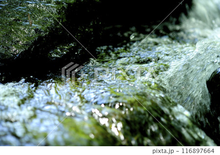 小川の水の流れ 小川の水の流れ 116897664