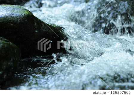 小川の水の流れ 116897666