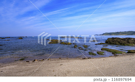 美しい海岸の風景 美しい海岸の風景 116897694