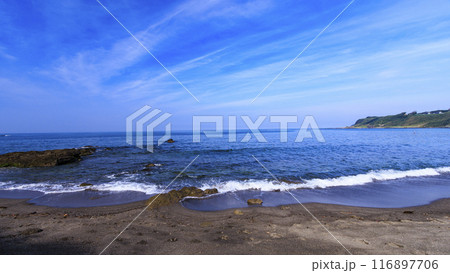 美しい海岸の風景 116897706