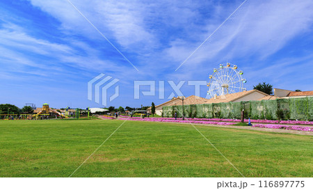 ひまわりが咲く丘にある公園 116897775