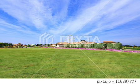 ひまわりが咲く丘にある公園 ひまわりが咲く丘にある公園 116897777