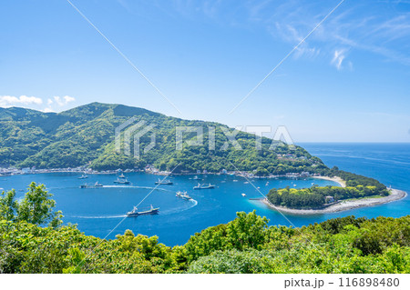 出逢い岬から望む出漁風景　汽笛と音楽を鳴らしながら戸田港内を3周し出漁する　まき網漁業船団　駿河湾へ 116898480