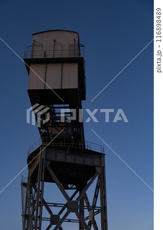 ハンマーヘッドの後ろ姿 116898489