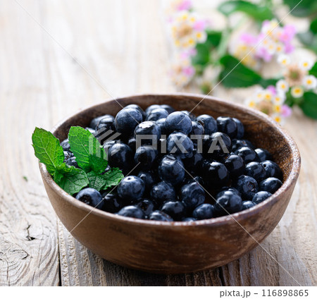 ブルーベリー ブルーベリー 116898865