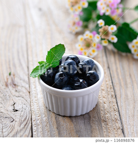ブルーベリー ブルーベリー 116898876