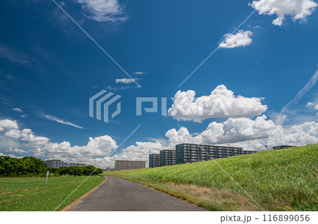 淀川の堤防と夏空風景 116899056
