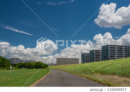 淀川の堤防と夏空風景 116899057
