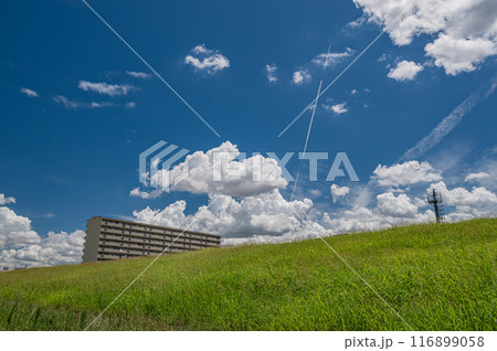 淀川の堤防と夏空風景 116899058