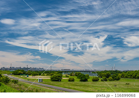 淀川河川公園夏景色 淀川河川公園夏景色 116899068