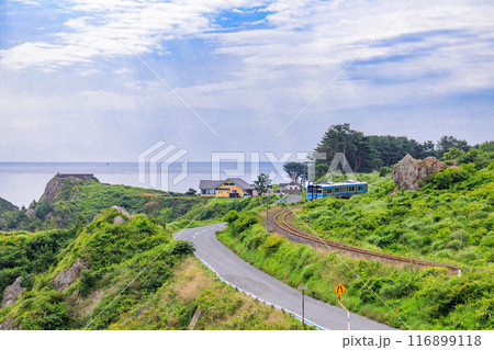 「青森県」種差海岸を走るJR八戸線の列車 116899118