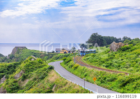 「青森県」種差海岸を走るJR八戸線の列車 116899119