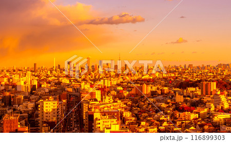 東京風景・夕日と都心の街並み 東京風景・夕日と都心の街並み 116899303