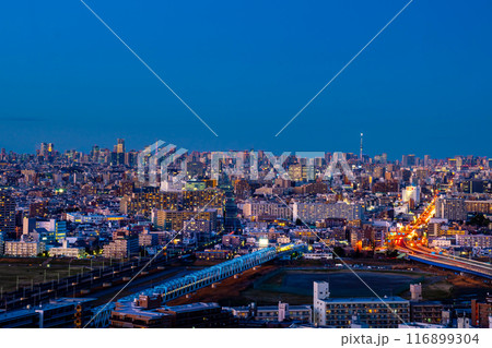 東京都心を望む夜景 東京都心を望む夜景 116899304
