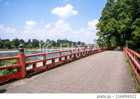 夏の京都　宇治 116899322